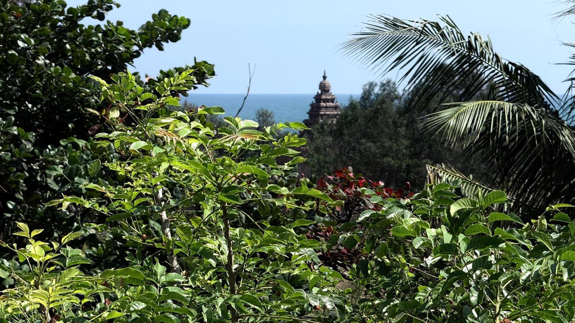Sri Murugan Beach Paradise Hotel Mahabalipuram Exterior photo